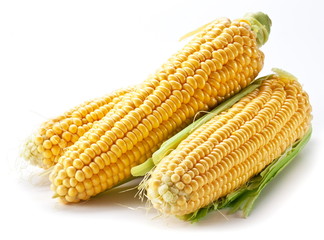 Corn on a white background