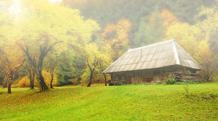 Autumn landscape