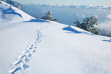 Naklejka premium Footprints in the snow