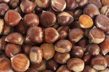 Chestnut