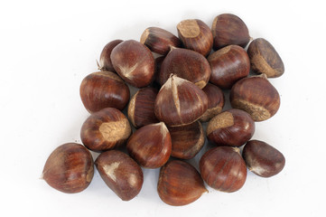 Chestnut