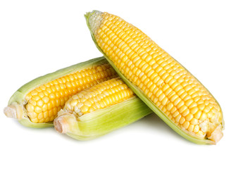 Fresh corn