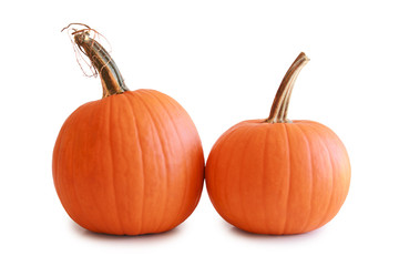 Pair of orange pumpkins touching isolated on white