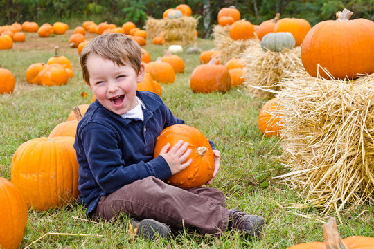 Happy young boy picking a pumpkin for Halloween