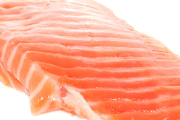 Salmon Fillet