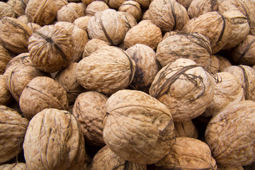 Walnuss