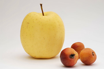 Golden Delicious und Zieräpfel