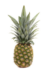 Fototapeta premium Ananas
