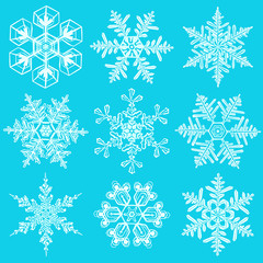 cold crystal gradient snowflakes - vector set