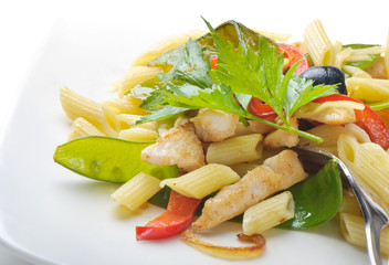 penne with vegetables and meat