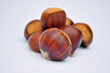 Castagne marroni in autunno
