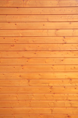 lacquered wooden wall