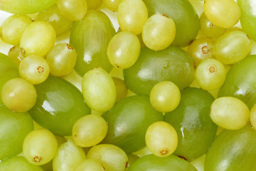 Background of grapes