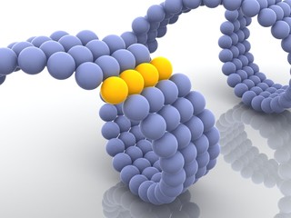 gene in DNA