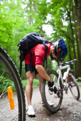 Mountain biking in a forest - bikers on a forest biking trail