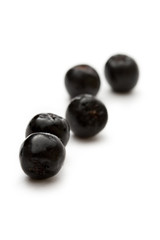 Black chokeberry isolated on the white background