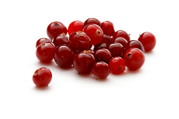 Cranberries isolated on the white background