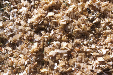 A sawdust