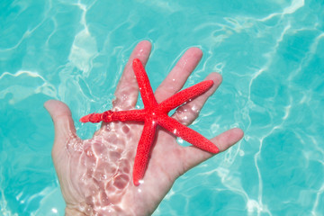 Fototapeta na wymiar Red starfish in human hand floating