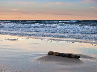 Treibholz an der Ostseeküste.