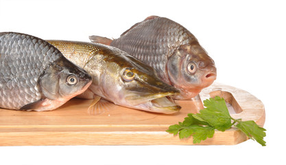 Perches and a pike on a board