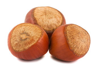 Hazelnuts