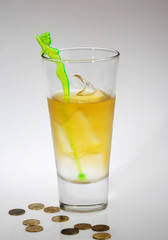 coctel 6