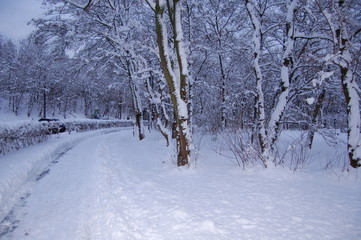 schneelandschaft