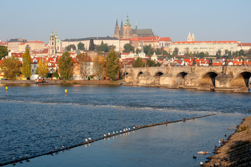 Prague