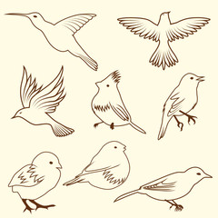 bird set