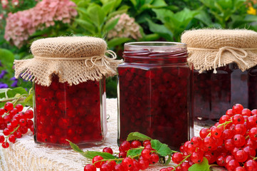 Jars of homemade red currant jam with fresh fruits