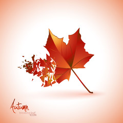 Breaking leaf icon | background.