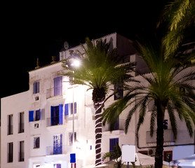 Fototapeta na wymiar Ibiza white houses in night with palm trees