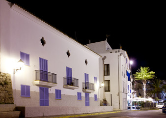 Ibiza white houses in night with palm trees