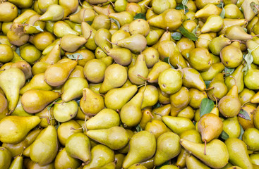 Freshly harvested bosc pears on display