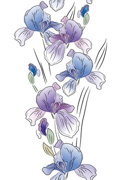 Seamless vertical border with blue irises on white