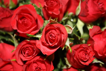 Obraz premium Bukiet