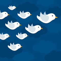 The flight of white pigeons flies