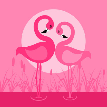 Love of a flamingo on lake. A vector illustration
