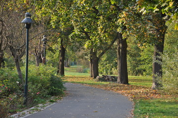 Herbstlicher Weg in Berlin
