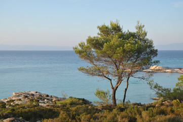 Fototapeta na wymiar Mediterranean coast