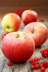 Red apples and viburnum.
