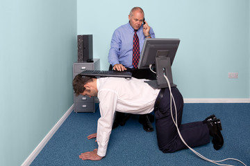 Work experience