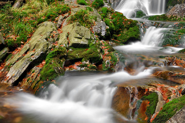 Fototapeta na wymiar creek in the national park Sumava-Czech Republic