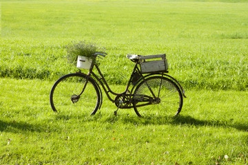 Fototapeta na wymiar Rostiges Fahrrad