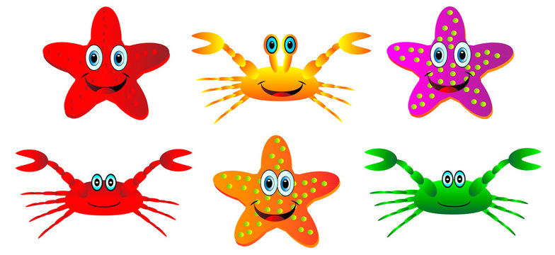 Set of crabs and starfish