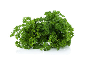 Obraz premium leaves parsley