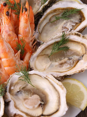 oyster and shrimp