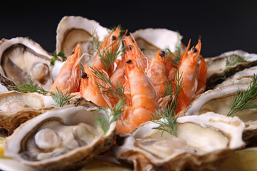 oyster