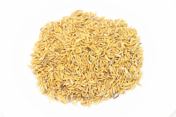 Rice